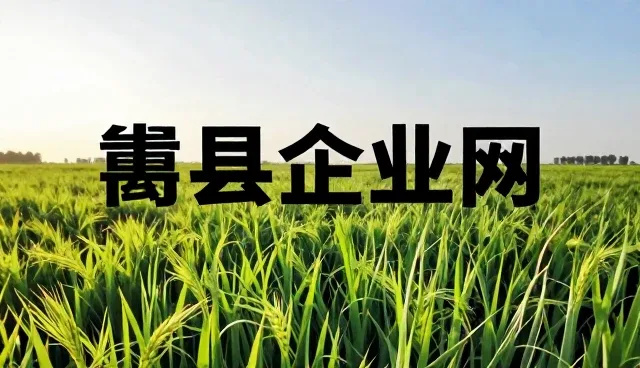 产品展示设计中的应用场景选型关注点